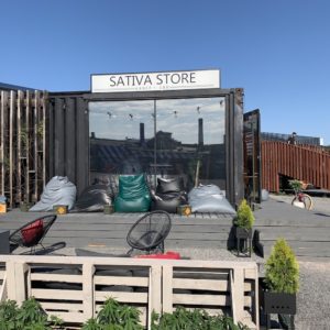 Kanep Sativa Store