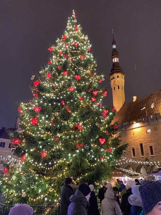 Tallinnan joulutorin joulukuusi