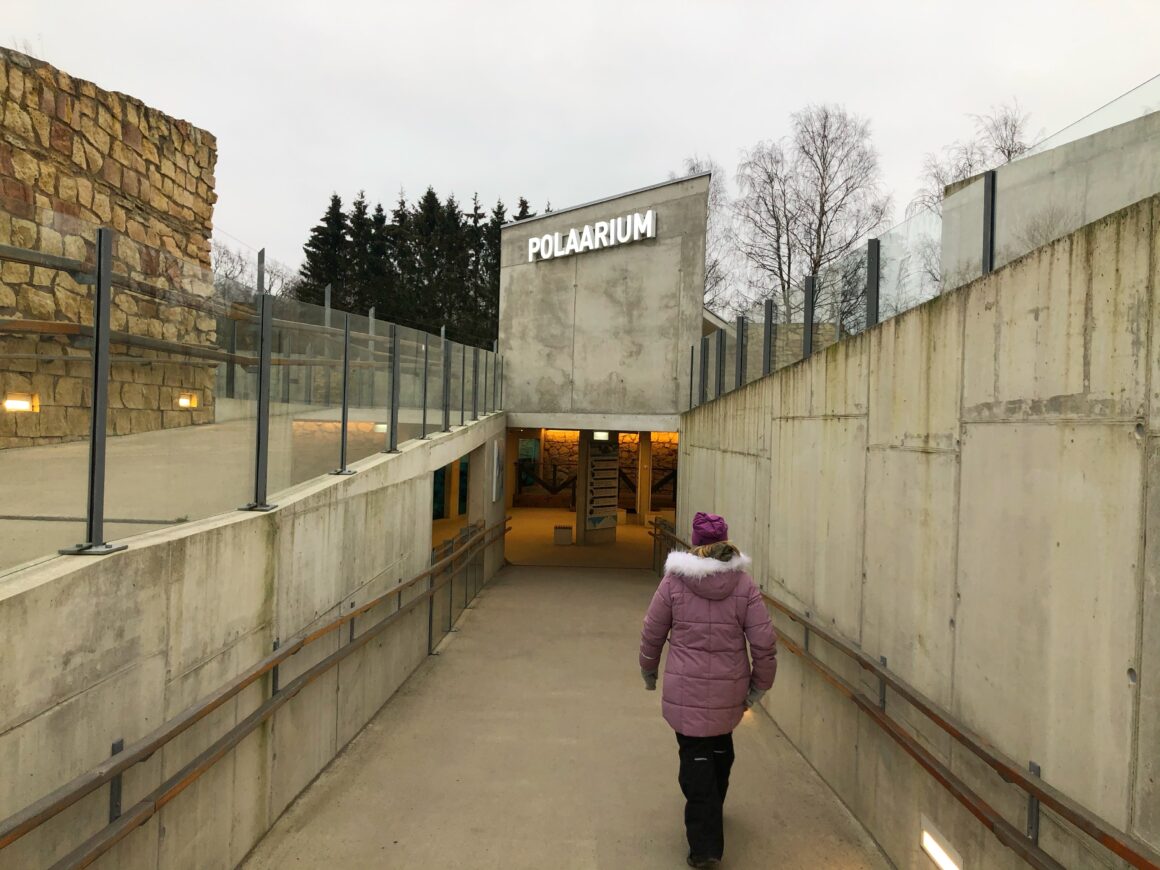 Tallinnan eläintarhan jääkarhumaailma