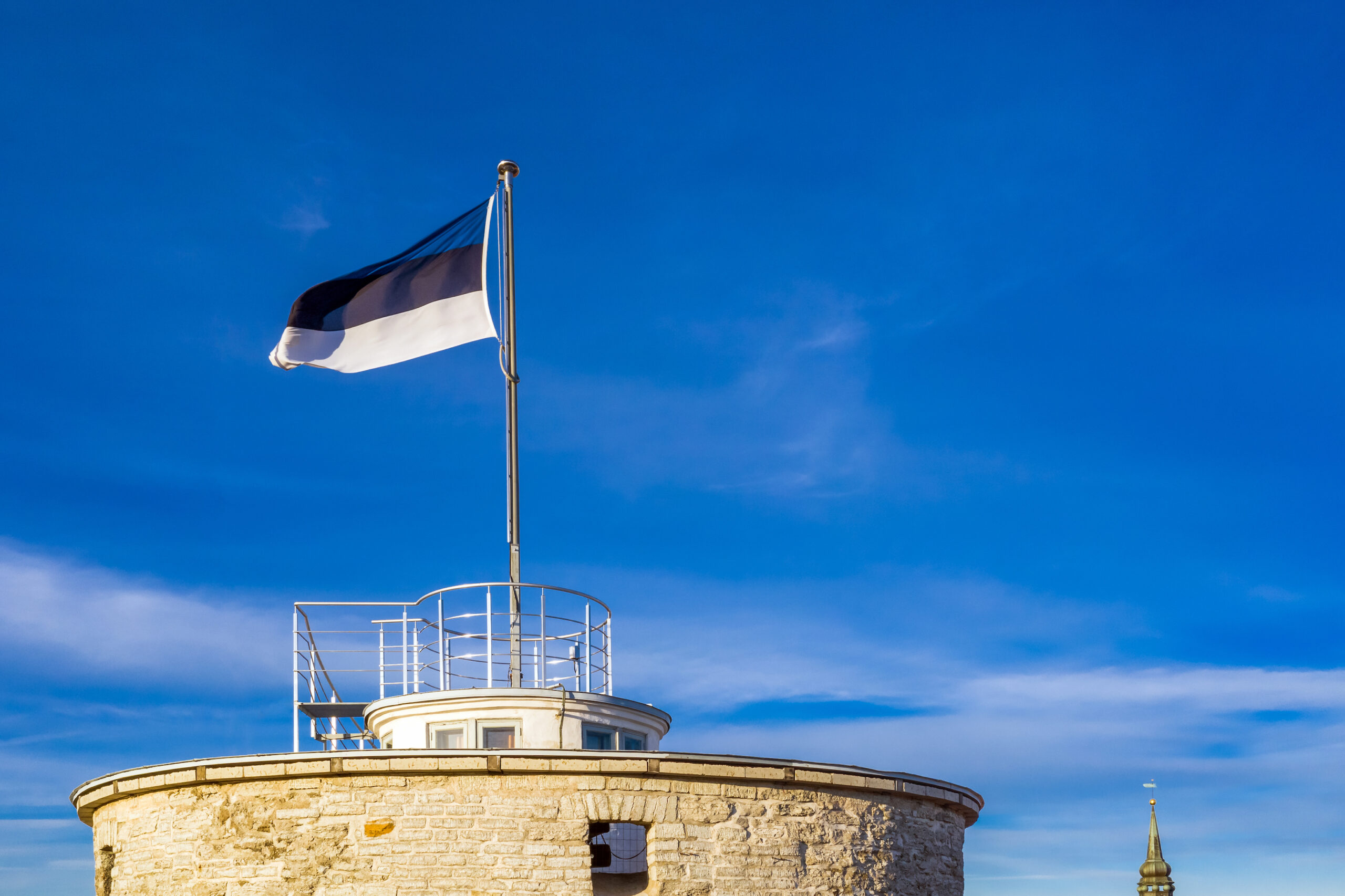 Viron lippu Pikk Hermannin tornissa