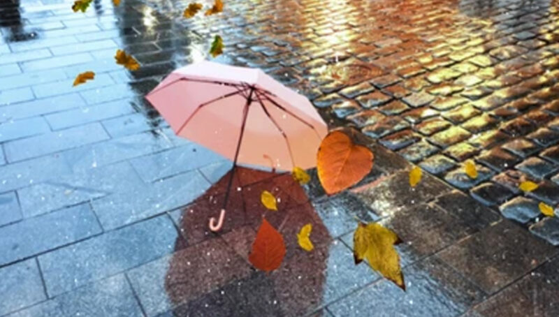 Tallinna sade